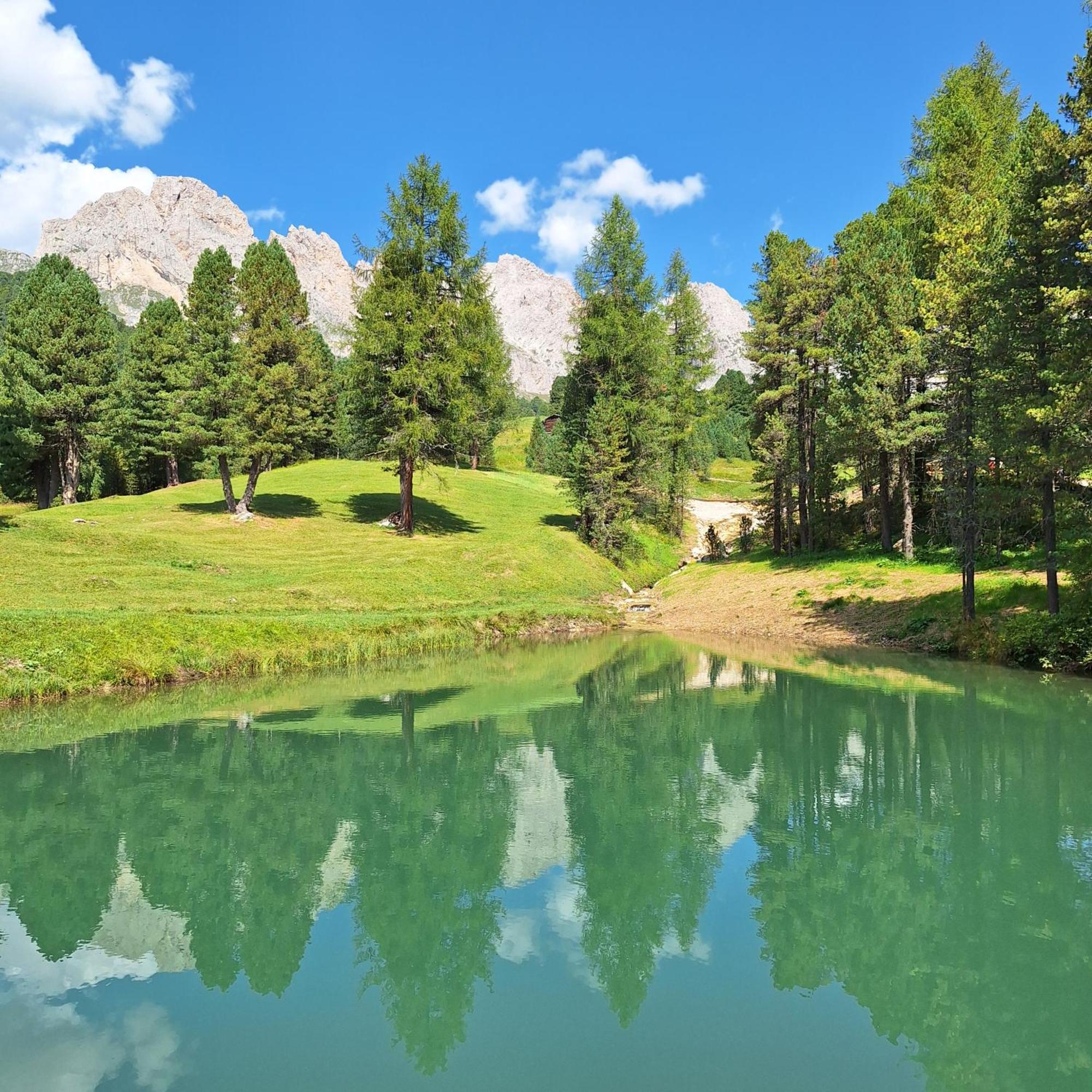 Apartment Romana Selva di Val Gardena Ngoại thất bức ảnh